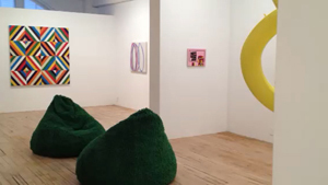 WIT, 2013, Curator Joanne Freeman